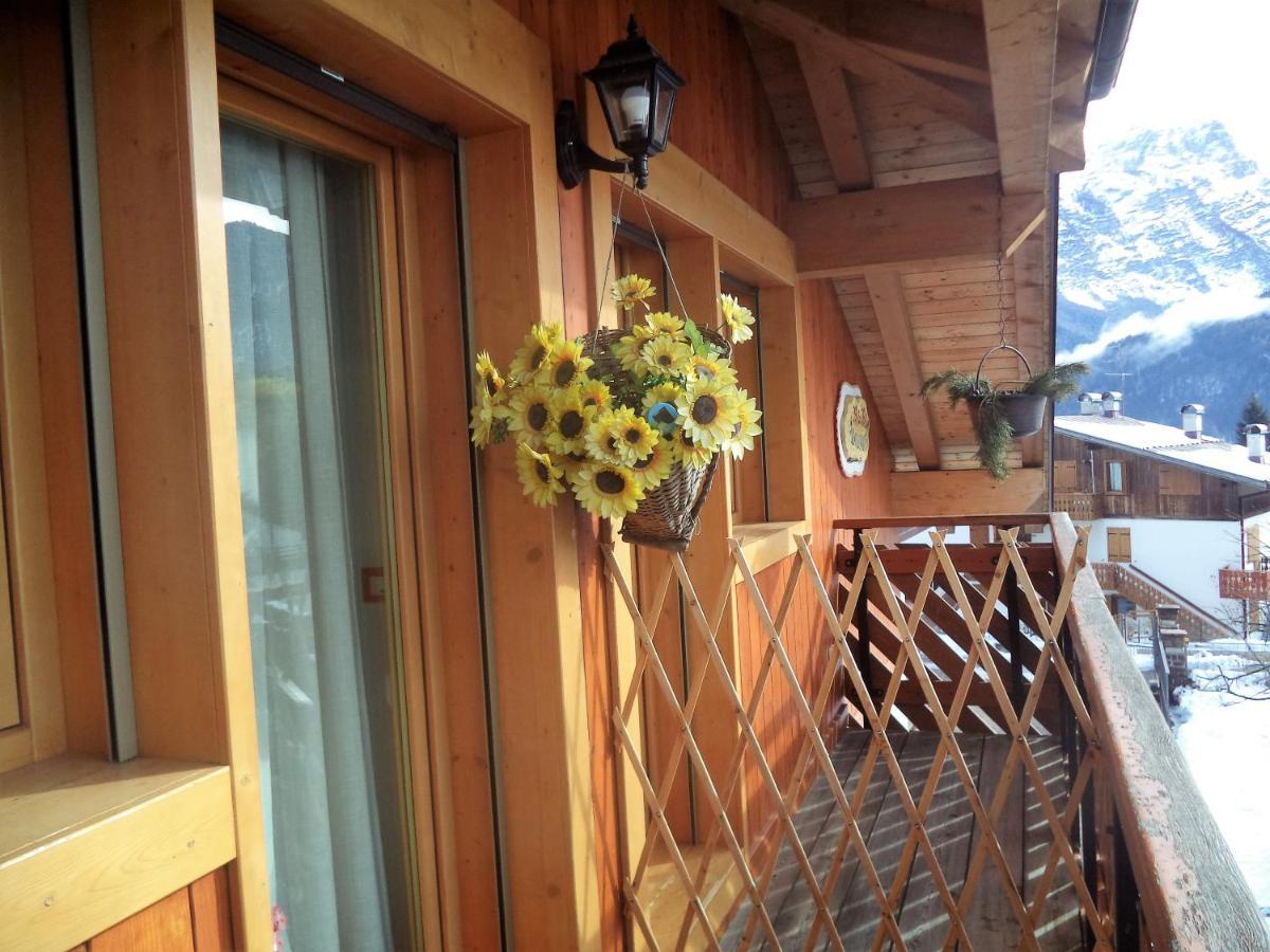 B&B Dolomiti Calalzo di Cadore エクステリア 写真