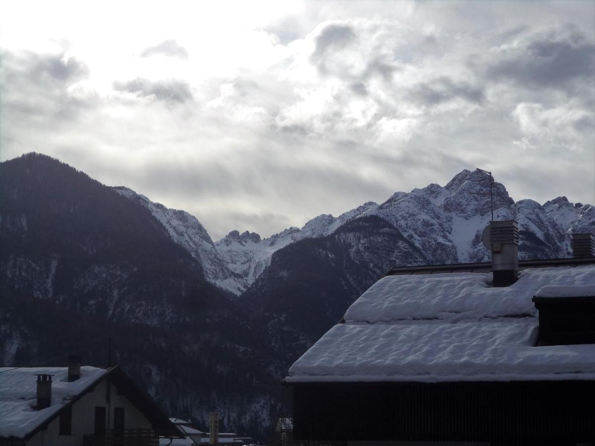 B&B Dolomiti Calalzo di Cadore エクステリア 写真