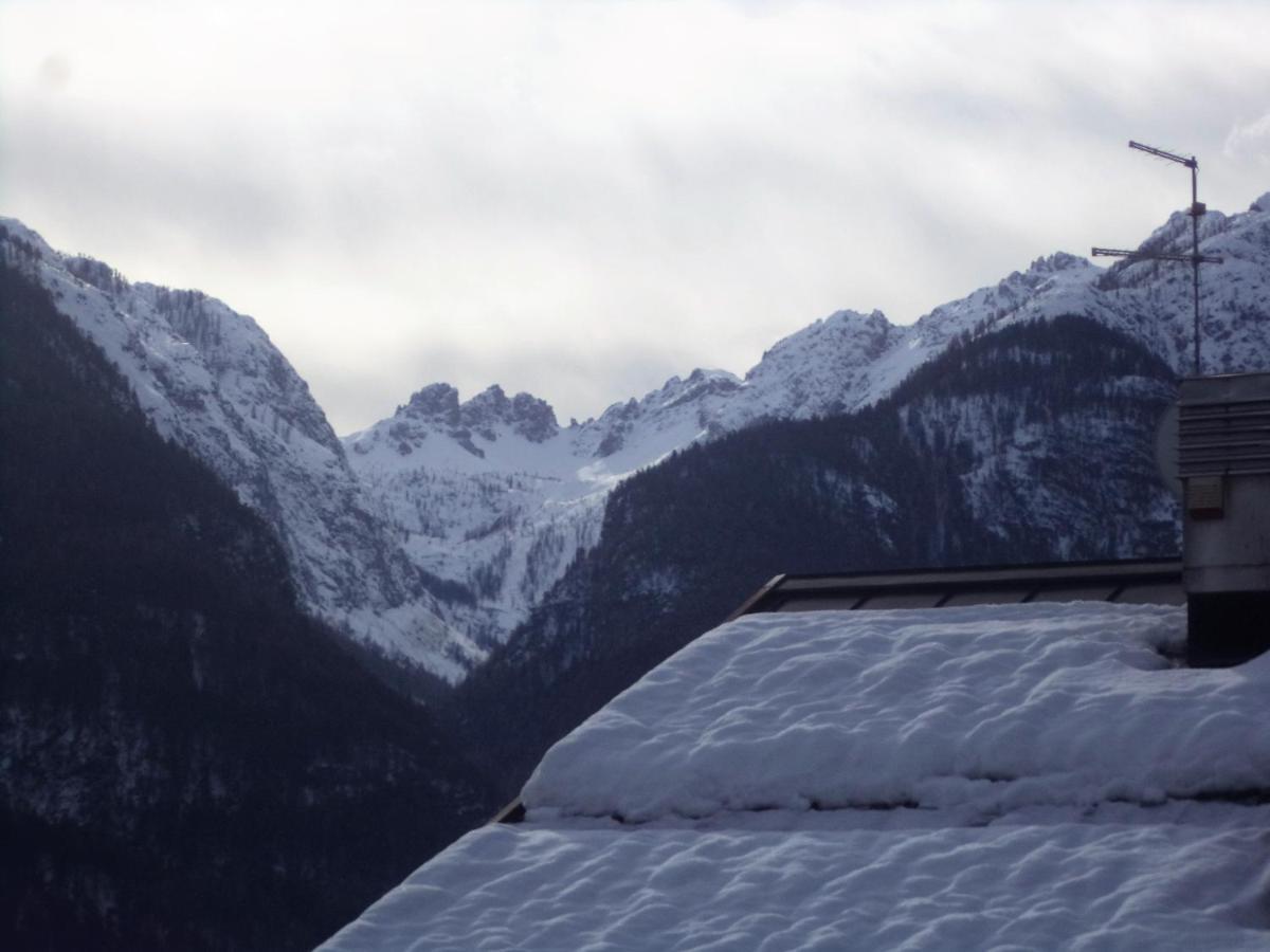 B&B Dolomiti Calalzo di Cadore エクステリア 写真